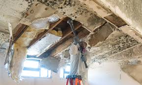 Best Mold Remediation for Healthcare Facilities  in Marlton, MD